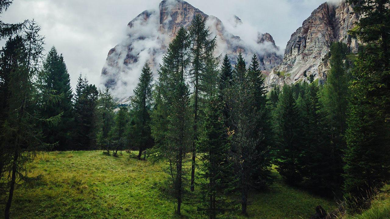 Trentino paesaggi verdi