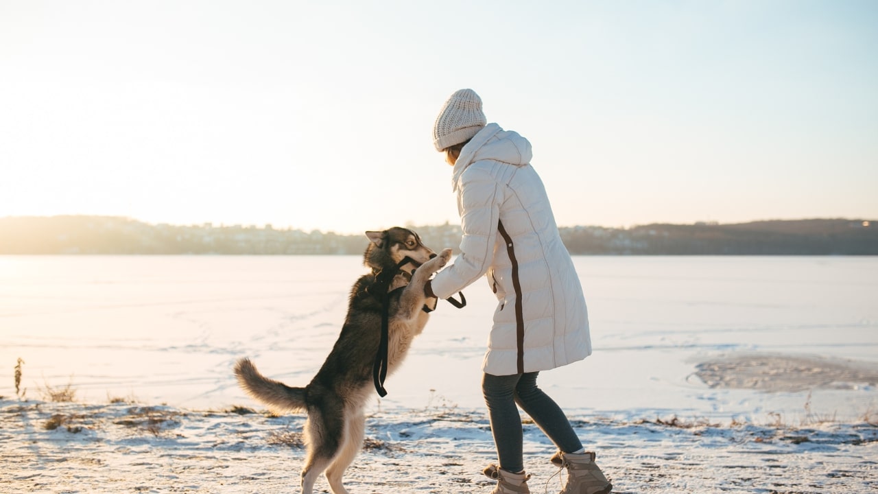 routine di esercizio d'inverno